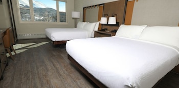 Mountain View 2 Queens Guestroom