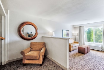Room, 1 King Bed, Accessible
