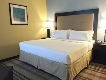 Room, 1 King Bed (Communications Accessible)