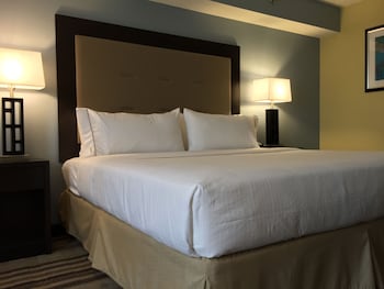 Standard Room, 1 King Bed, Accessible