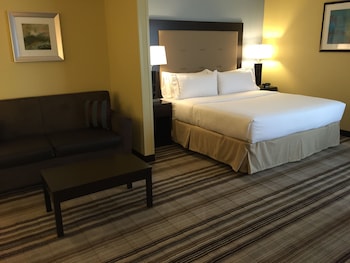 Room, 1 King Bed (Communications Accessible)