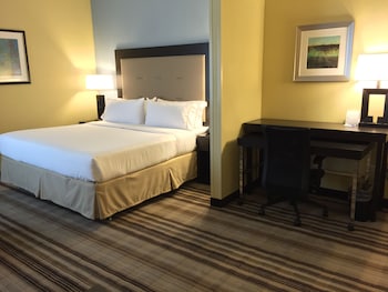 Room, 1 King Bed (Communications Accessible)