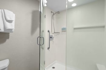 Deluxe Room, 1 King Bed with Sofa bed, Hearing Accessible