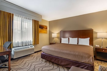 Standard Room, 1 King Bed, Accessible, Non Smoking (Walk-in Shower)