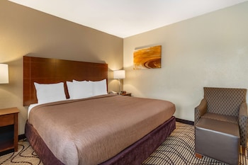Standard Room, 1 King Bed, Accessible, Non Smoking (Walk-in Shower)