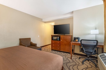 Standard Room, 1 King Bed, Accessible, Non Smoking (Walk-in Shower)