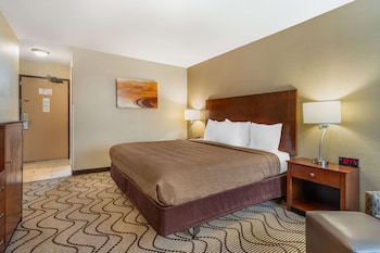 Standard Room, 1 King Bed, Non Smoking, Refrigerator & Microwave