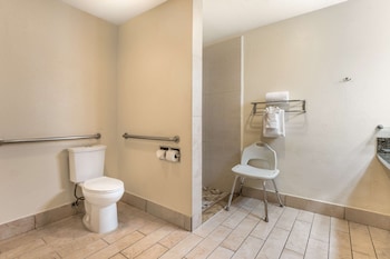 Standard Room, 1 King Bed, Accessible, Non Smoking (Walk-in Shower)