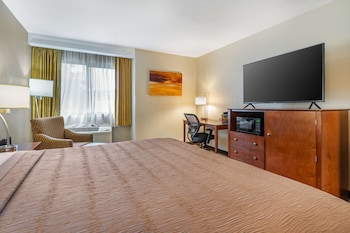 Standard Room, 1 King Bed, Non Smoking, Refrigerator & Microwave