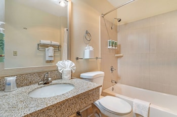 Standard Room, 1 King Bed, Non Smoking, Refrigerator & Microwave