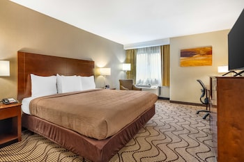 Standard Room, 1 King Bed, Non Smoking, Refrigerator & Microwave