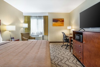 Standard Room, 1 King Bed, Non Smoking, Refrigerator & Microwave