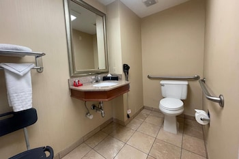Suite, 1 Bedroom, Mobility Accessible, Non Smoking