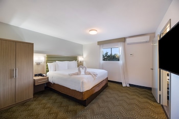 Premium Suite, Mountain View