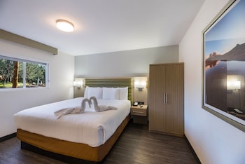 Premium Suite, Mountain View