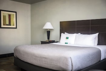 Room, 1 Double Bed, Non Smoking