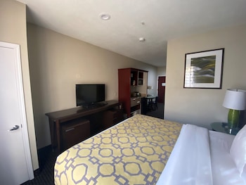 Room, 1 King Bed, Non Smoking