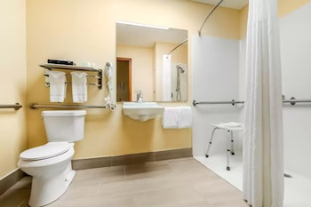 Room, 1 King Bed, Accessible, Non Smoking