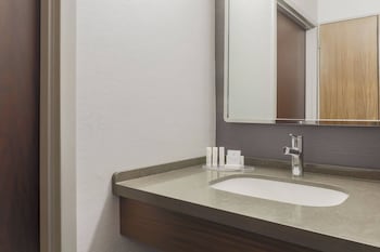 Room, 1 King Bed, Roll-in Shower