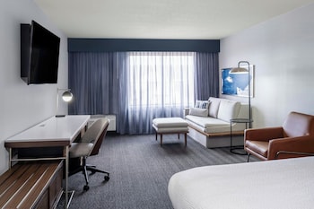 Room, 1 King Bed with Sofa bed