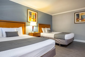 Double Room, 2 Queen Beds