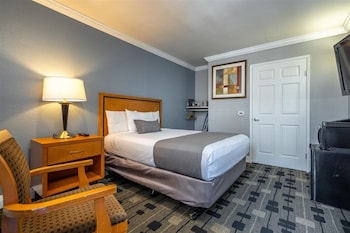 Room, 1 Double Bed