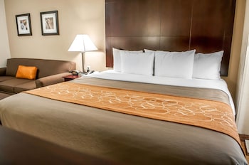 Suite, 1 King Bed, Non Smoking