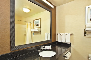 Suite, 1 King Bed with Sofa bed