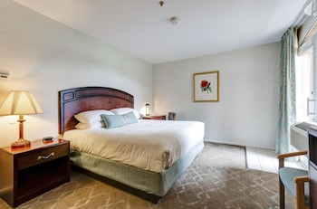 Accessible, Standard Room, 1 King Bed