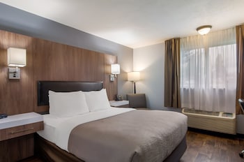 Room, 1 Queen Bed, Non Smoking