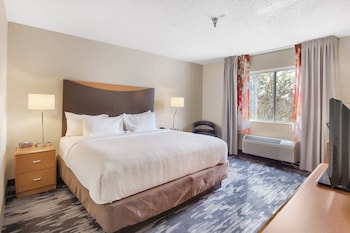 Room, 1 King Bed