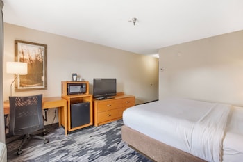 Room, 1 King Bed