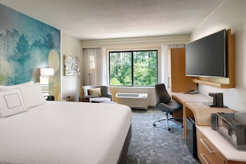 Room, 1 King Bed with Sofa bed (Mobility Accessible, Tub)