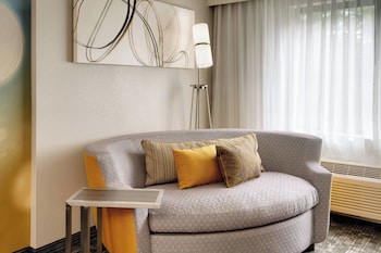 Room, 1 King Bed with Sofa bed