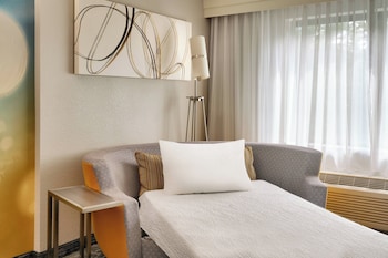 Room, 1 King Bed with Sofa bed