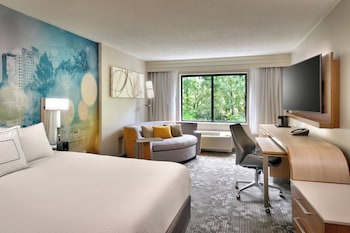 Room, 1 King Bed with Sofa bed