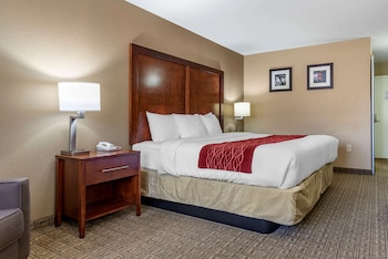 Standard Room, 1 King Bed, Non Smoking