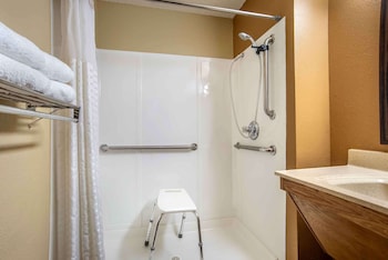 Room, 1 Queen Bed with Sofa bed, Accessible, Non Smoking