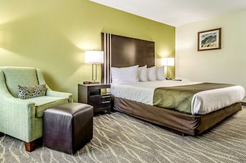 Standard Room, 1 King Bed, Non Smoking