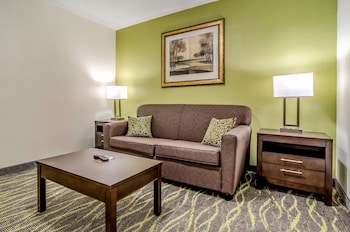 Suite, 2 Double Beds, Accessible, Non Smoking