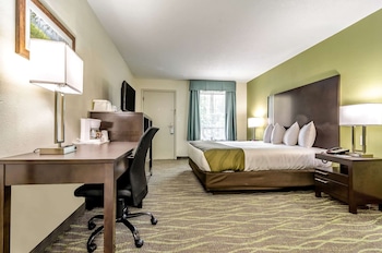 Standard Room, 1 King Bed, Smoking