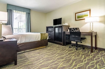 Room, 1 Double Bed, Accessible, Non Smoking