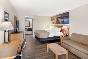Suite, 1 King Bed, Non Smoking (Efficiency)