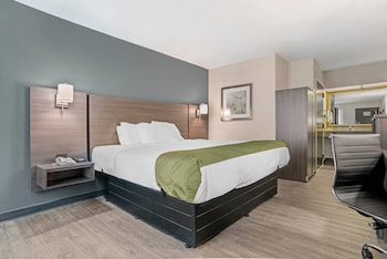 Room, 1 King Bed, Accessible, Non Smoking