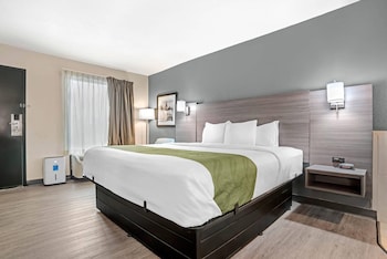 Standard Room, 1 King Bed, Non Smoking