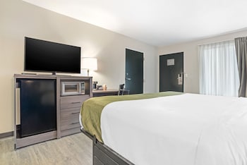 Standard Room, 1 King Bed, Non Smoking