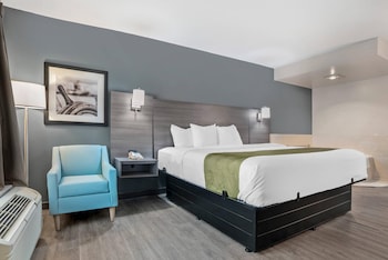Standard Room, 1 King Bed, Non Smoking