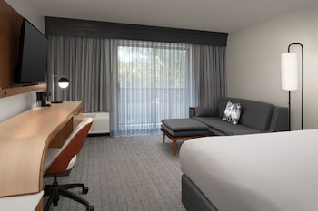 Room, 1 King Bed