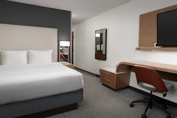 Room, 1 King Bed