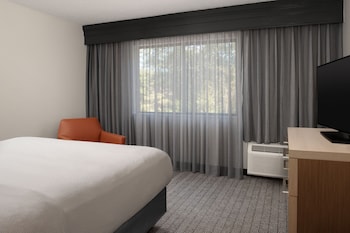 Suite, 1 King Bed with Sofa bed